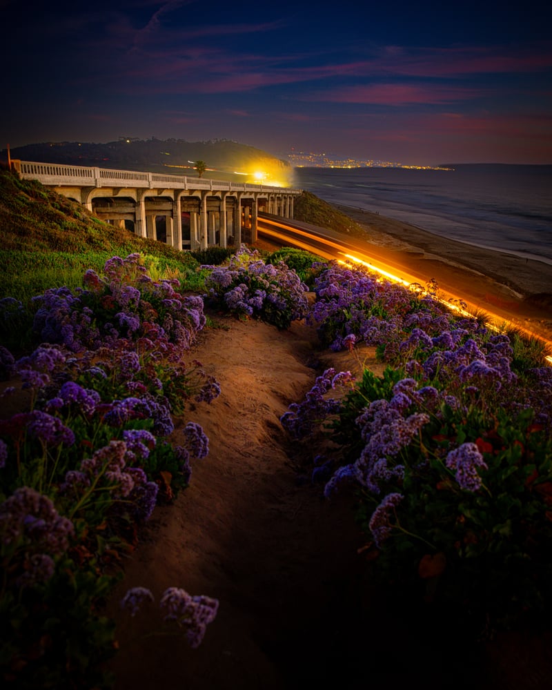 Del Mar Bluffs Overlook