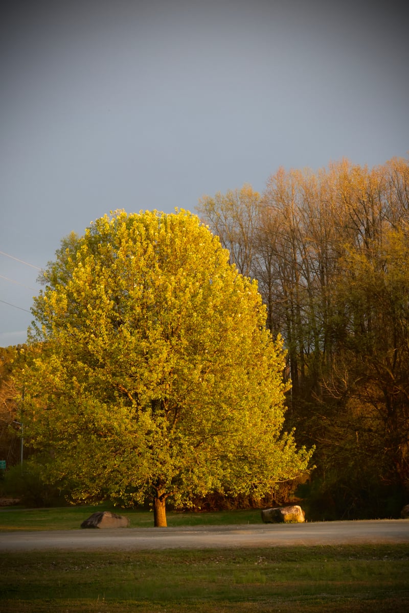 Garrard Landing Park