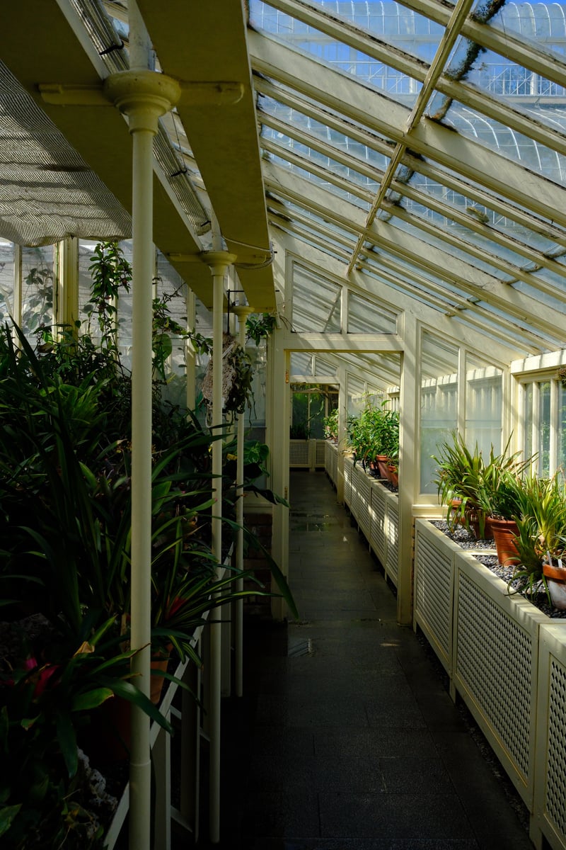National Botanic Gardens, Dublin