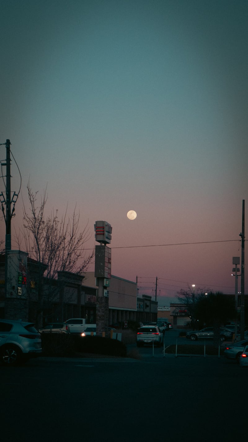 Winter Garden Commercial District