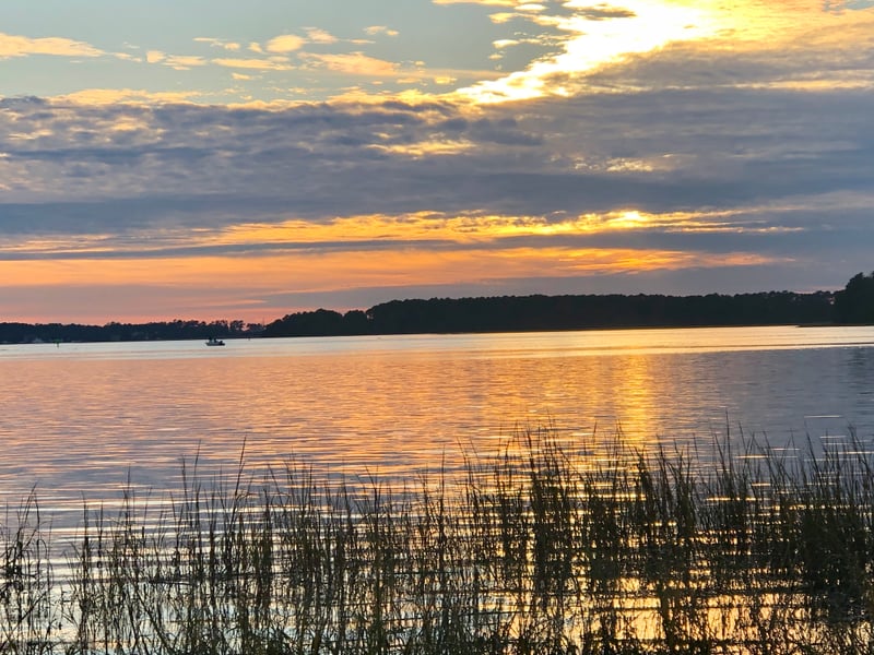 Calibogue Sound Marsh View