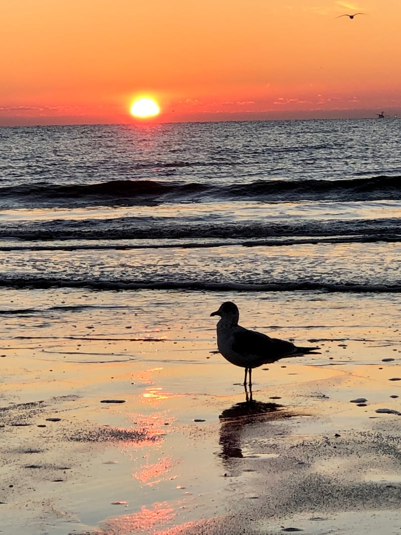 South Beach, Hilton Head Island
