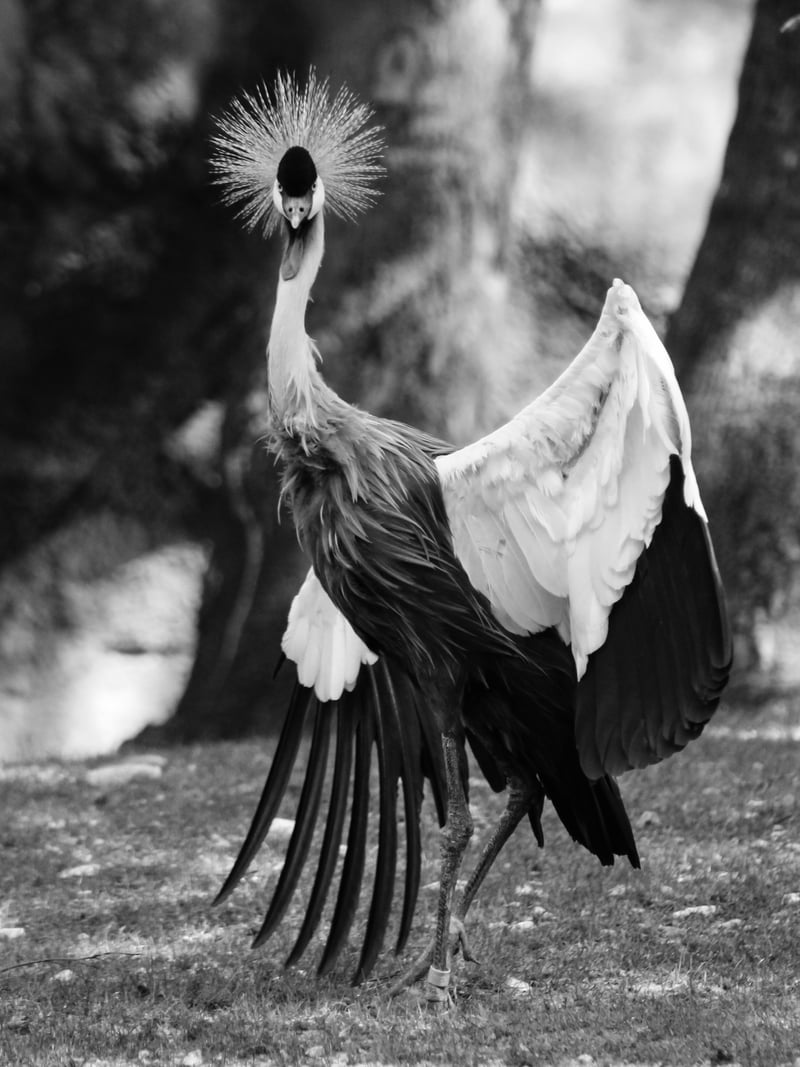 Nashville Zoo at Grassmere