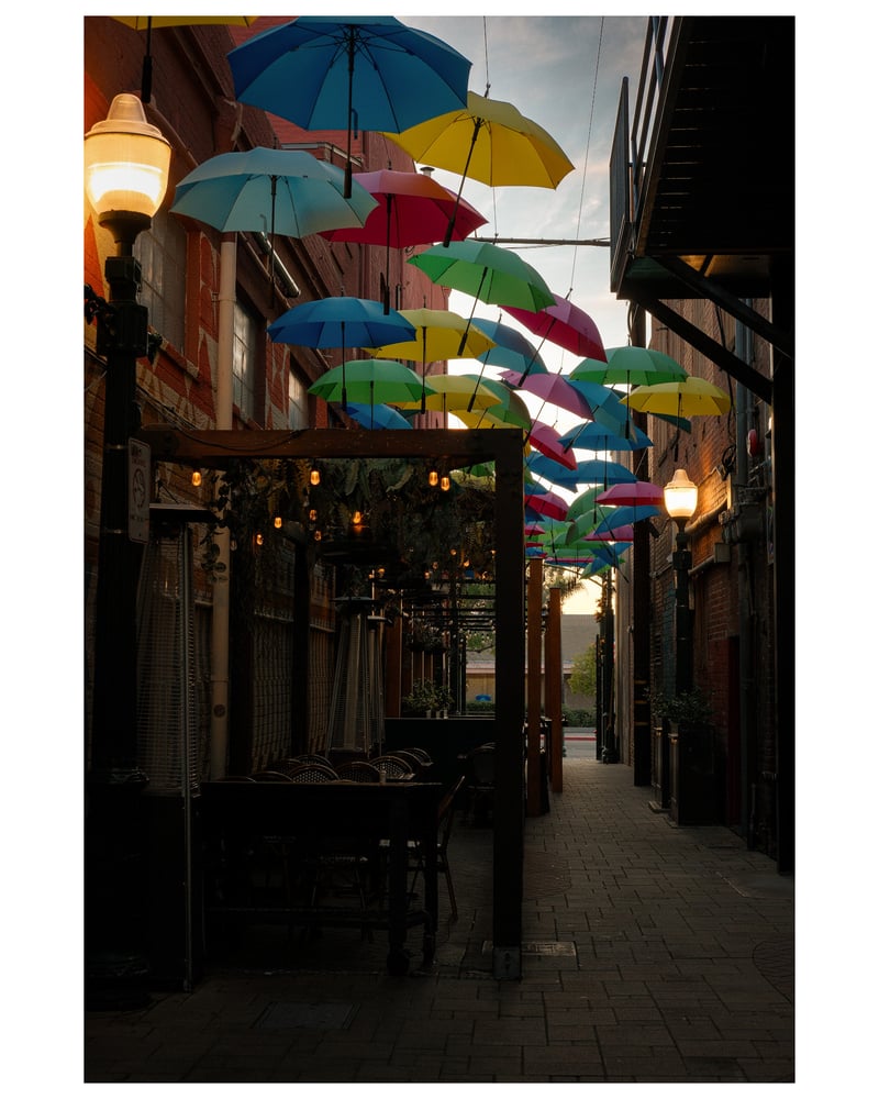 Redlands Umbrella Alley