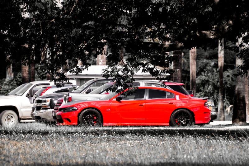 Homestead Tree-Lined Parking Area