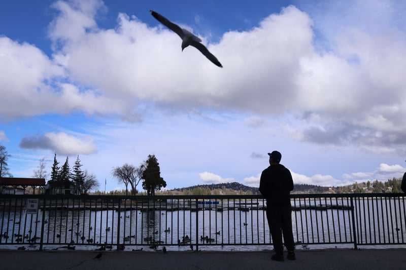 Lake Arrowhead Village Waterfront