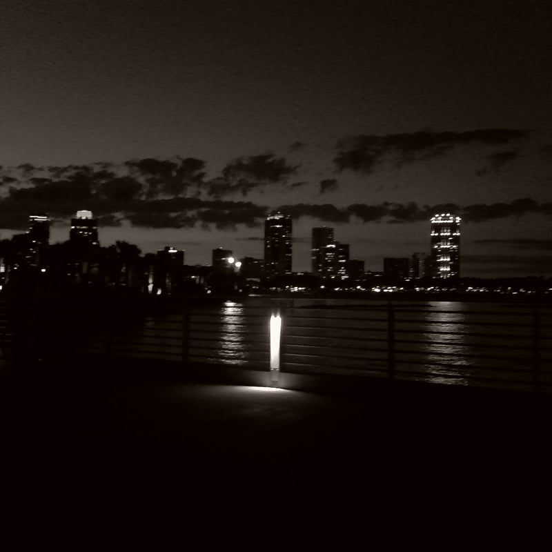 St. Pete Waterfront Skyline View