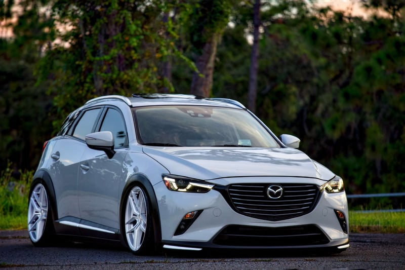 Central Florida Wooded Roadside