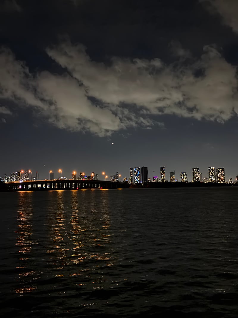 Biscayne Bay Skyline View