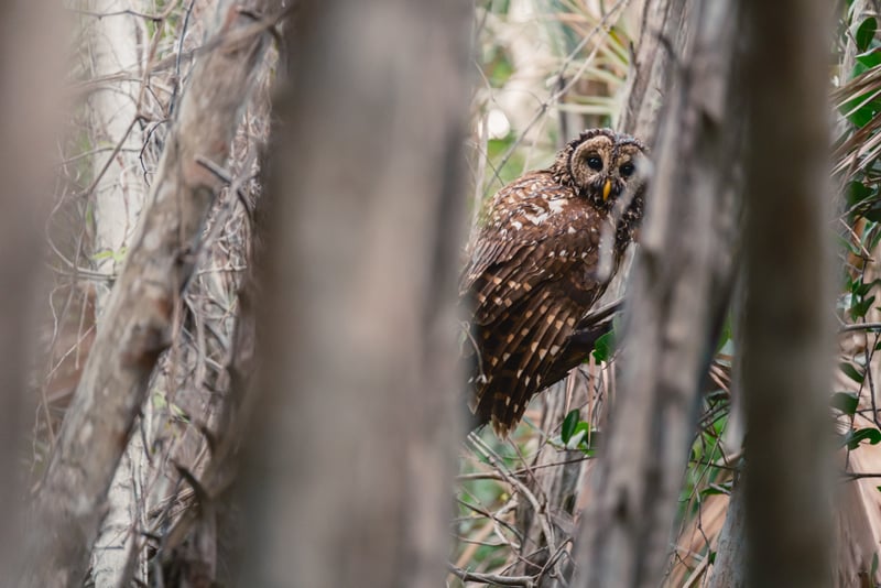 Everglades National Park