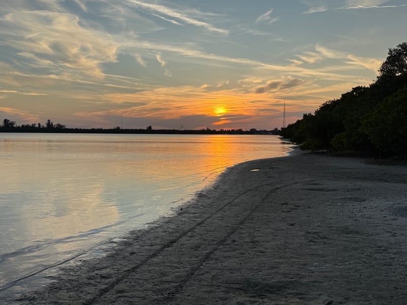 Old Tampa Bay Shoreline