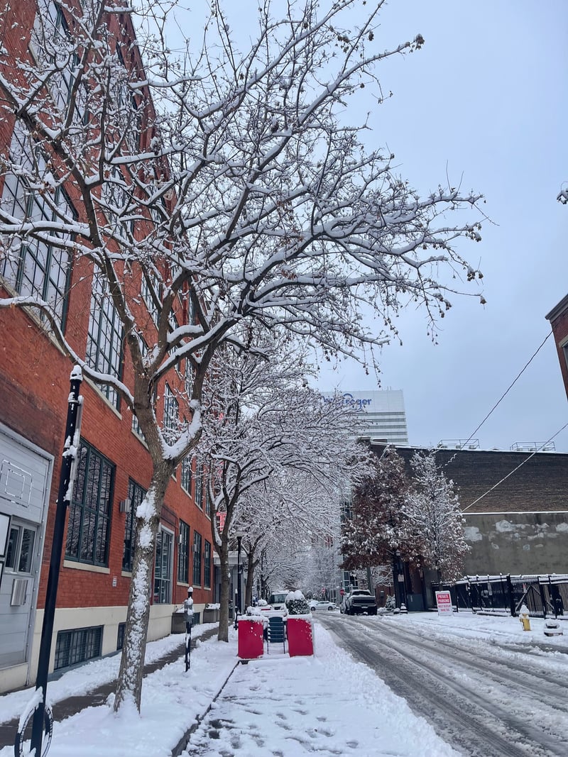 Over-the-Rhine Historic Streetscape