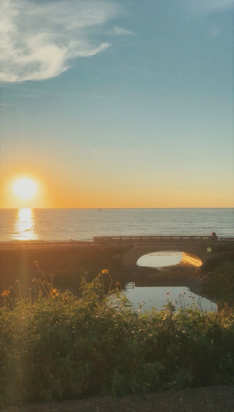 Torrey Pines State Beach Inlet
