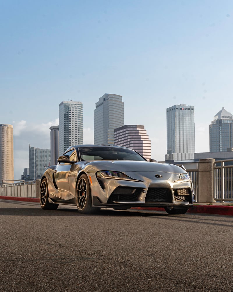 Davis Islands Skyline View