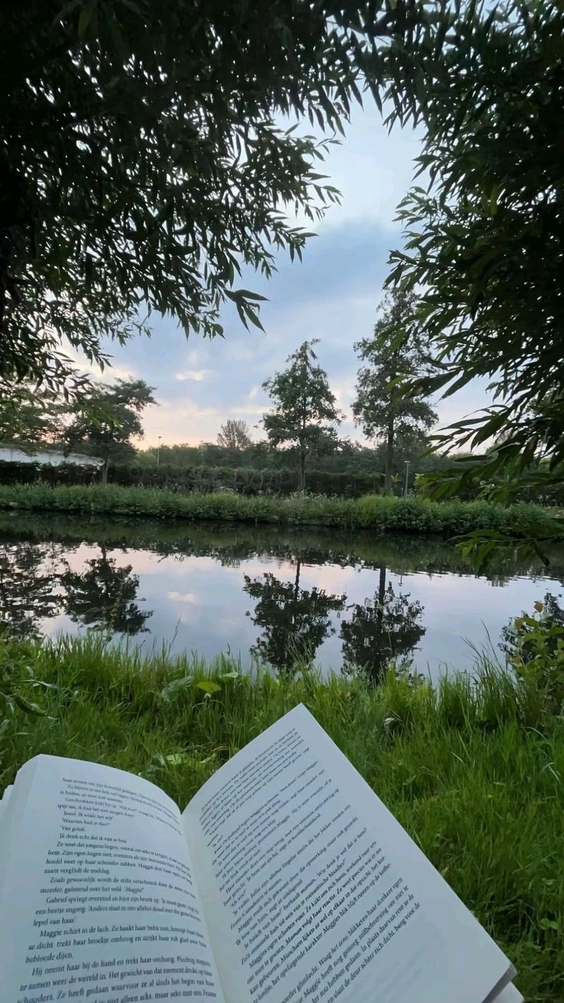 Tranquil Neighborhood Pond