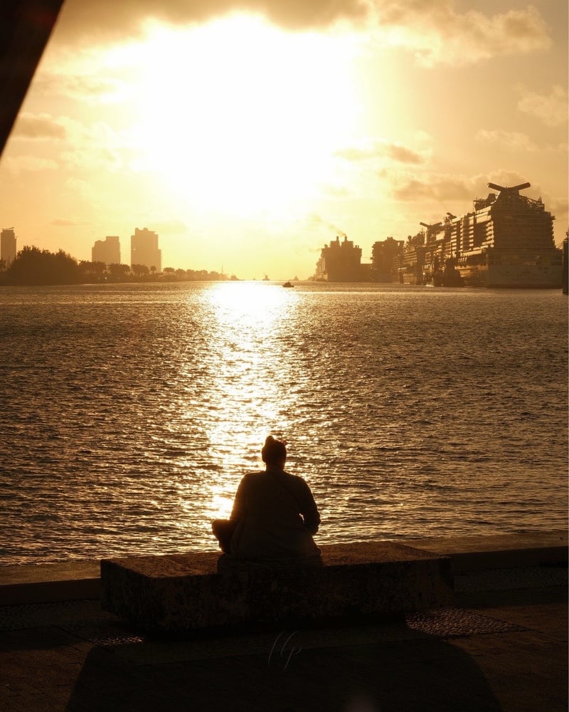 Biscayne Bay Waterfront Viewpoint