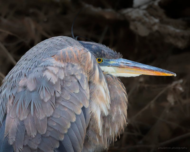 Root River Parkway Nature Area