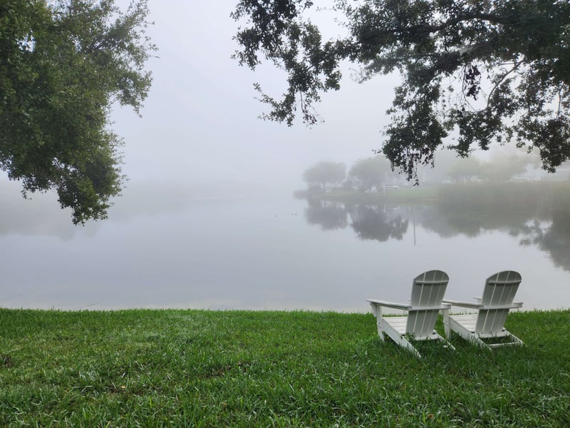 Tranquil Pond Overlook