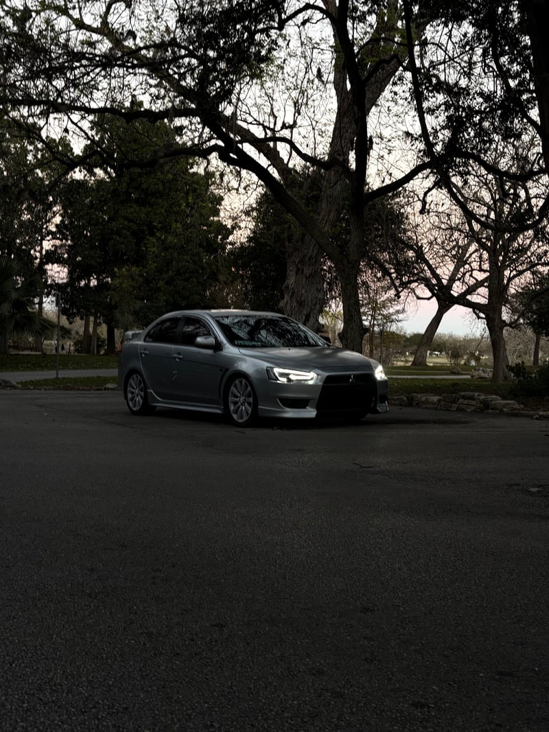 Landa Park Canopy Drive