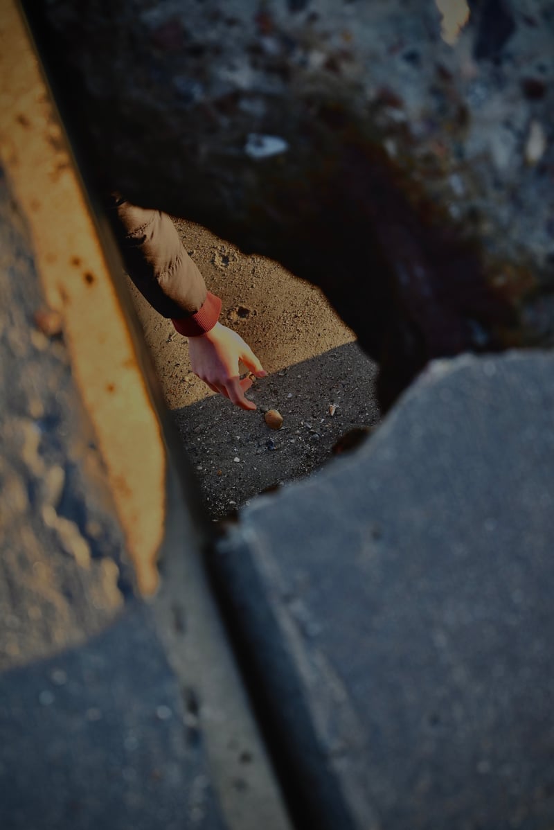 Coastal Beach Details