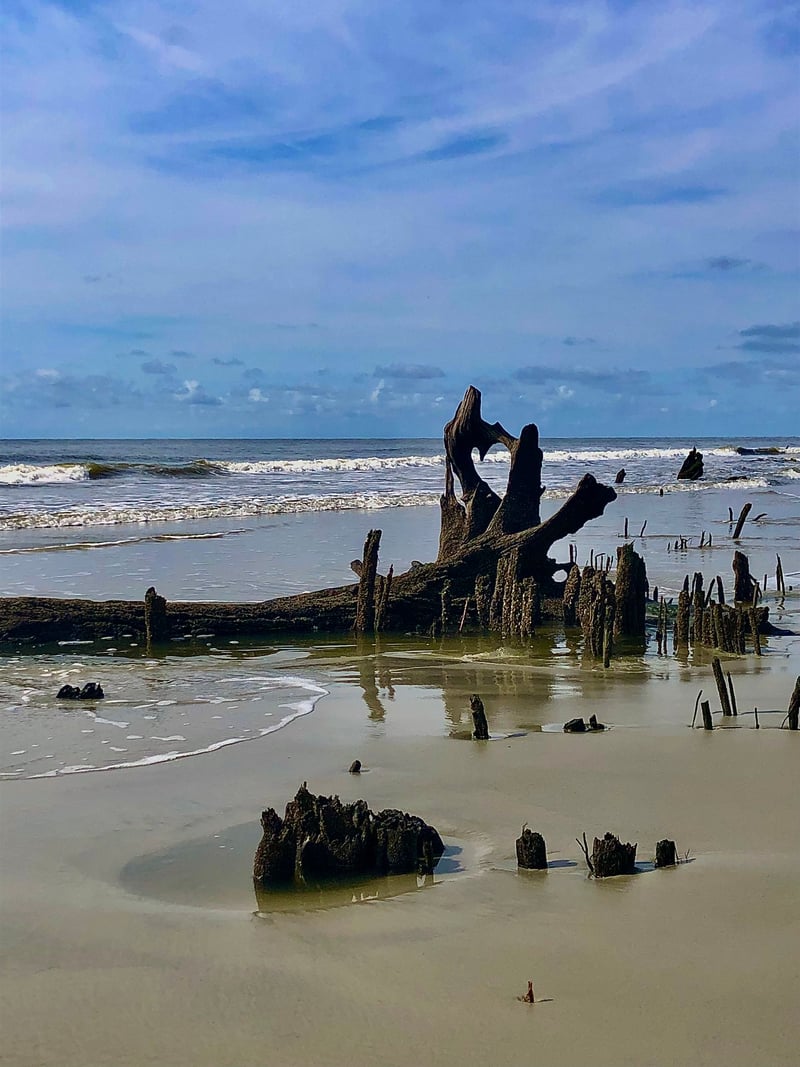 Hunting Island Boneyard Beach