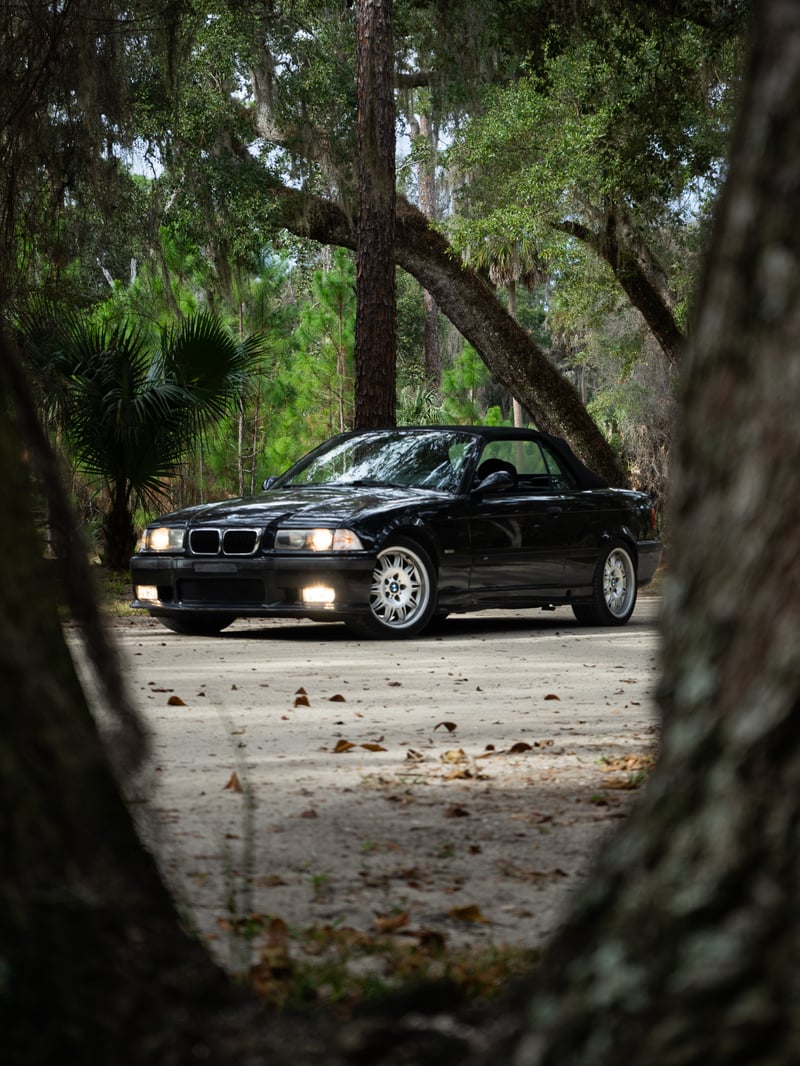 Palm Coast Wooded Trail