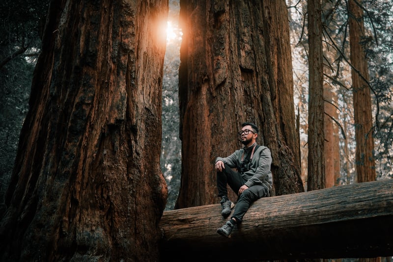 Muir Woods National Monument