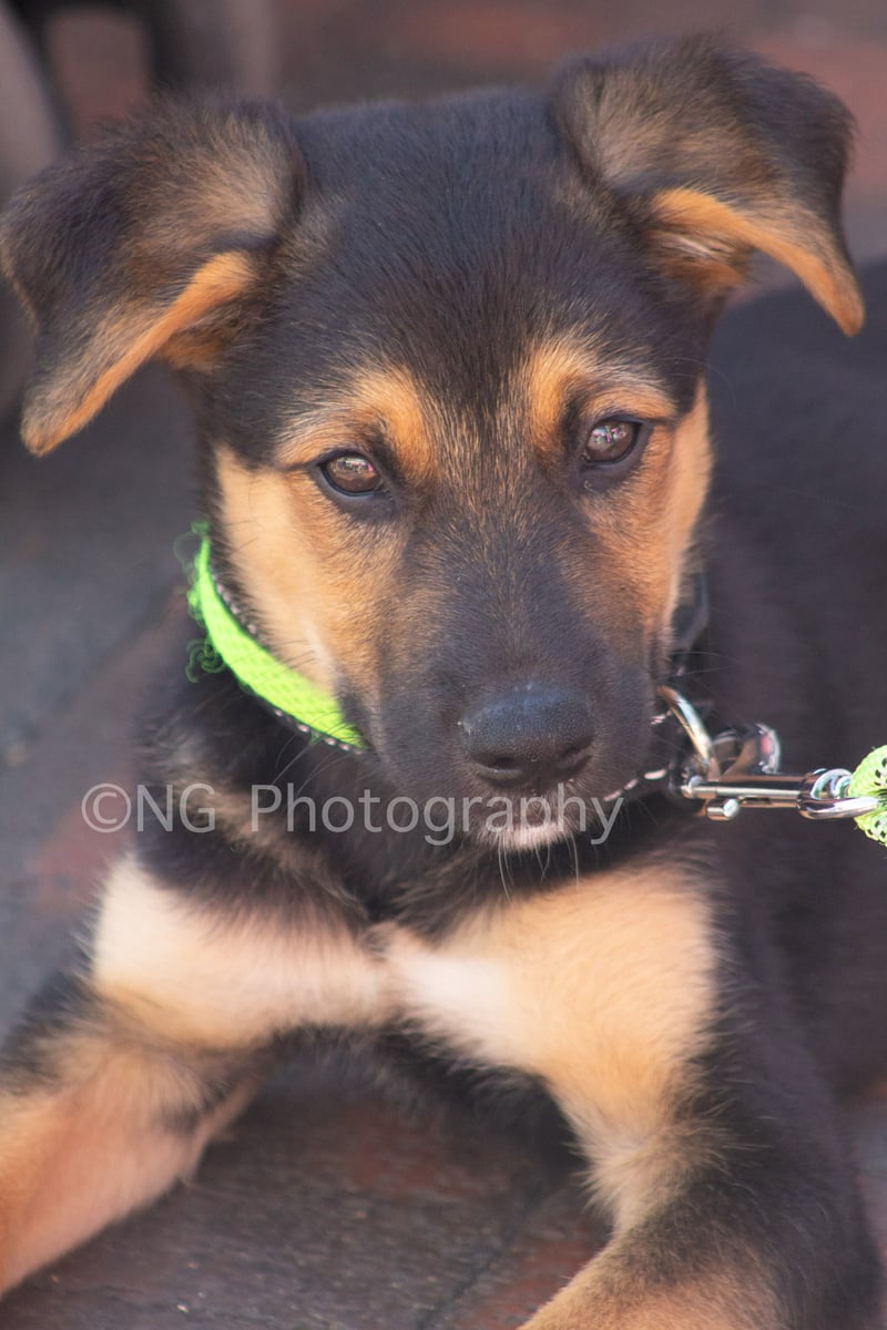 Eastbourne Town Centre