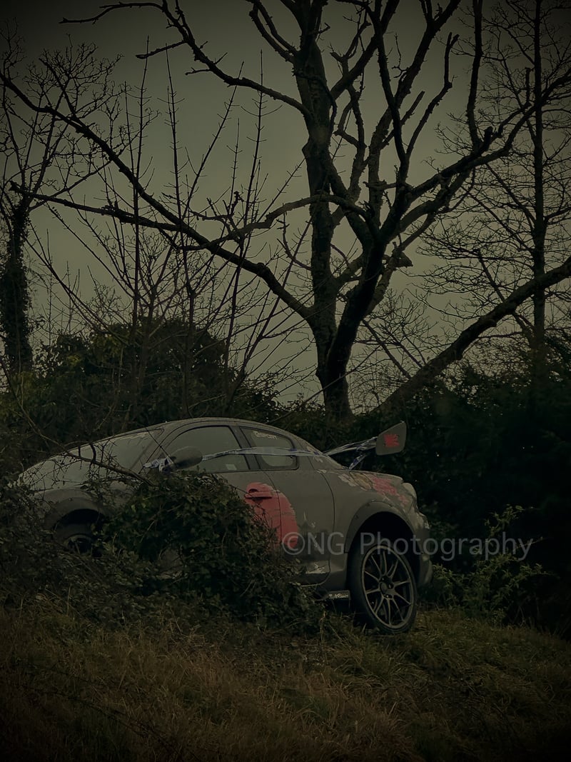 Baslow Road Wooded Verge