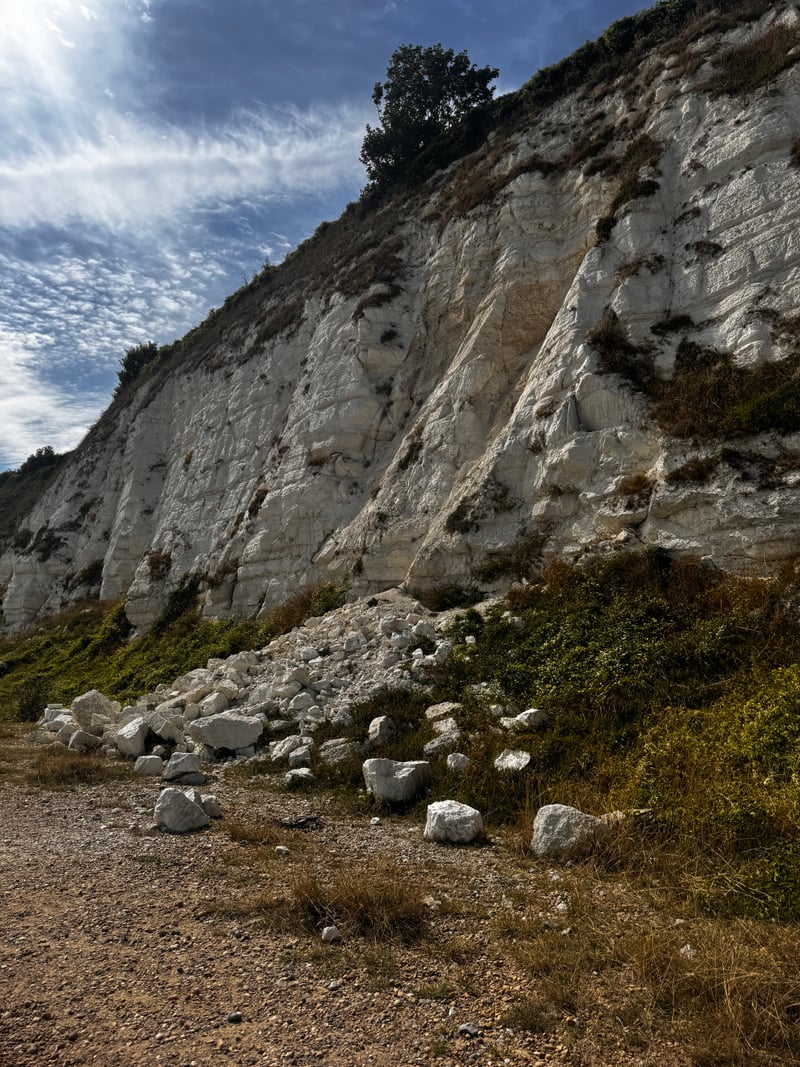 Eastbourne Chalk Cliffs