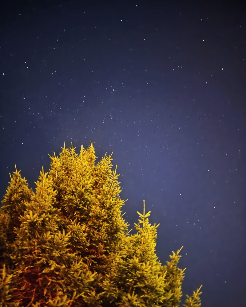 Eastbourne Suburban Starscape