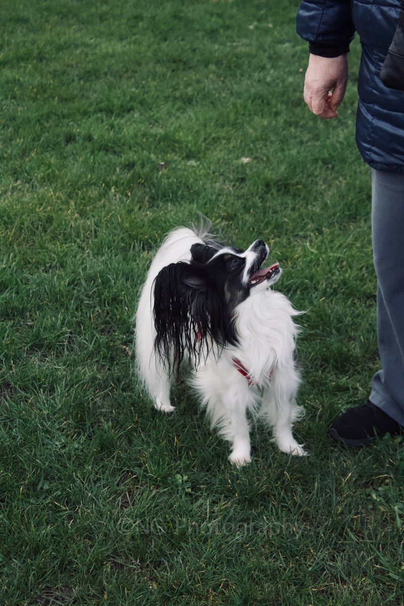 Pinwe Memorial Stone