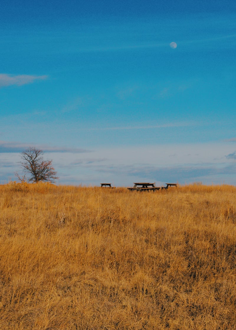 Rocky Mountain Arsenal Prairie