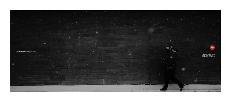 Downtown Ottawa Street Scene