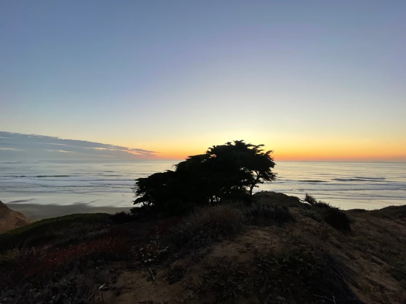 Fort Funston Coastal Bluffs