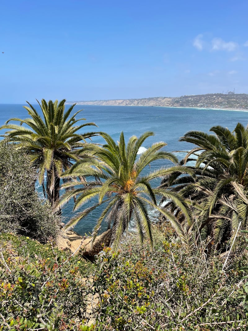 La Jolla Coastal Overlook