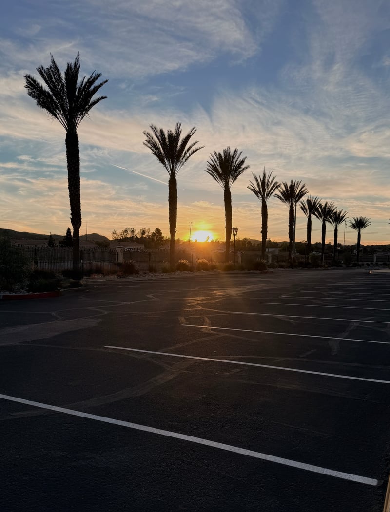 Fairfield Ranch Palm Silhouette