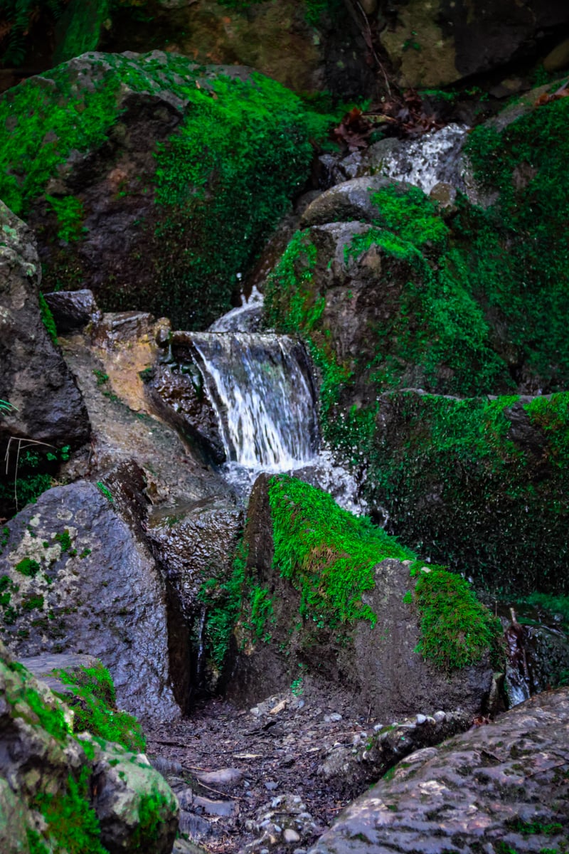 Tumwater Falls