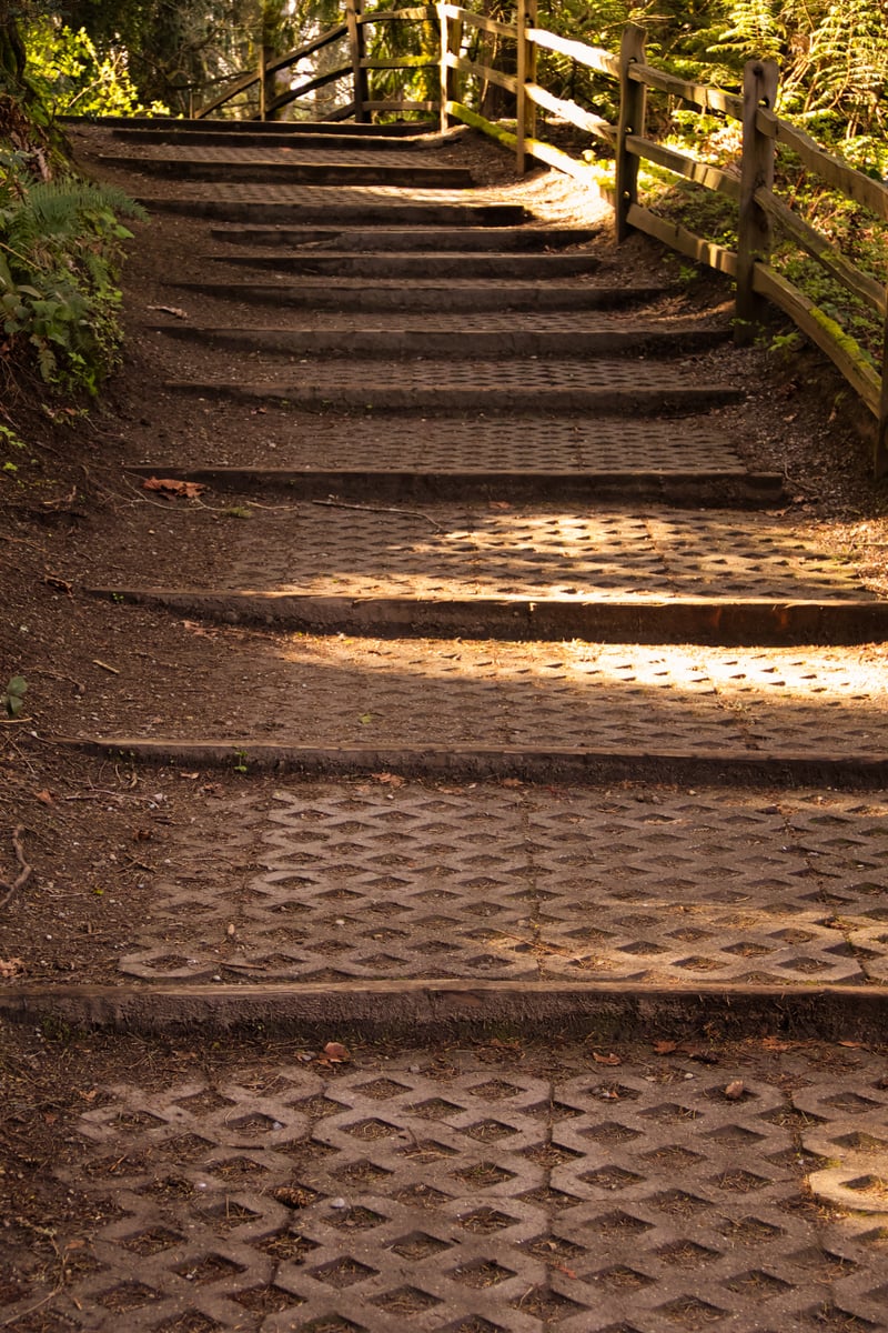 Tumwater Falls Park Trails