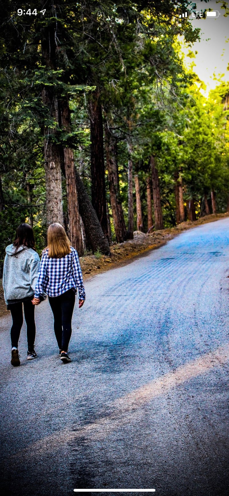 Big Bear Forest Road