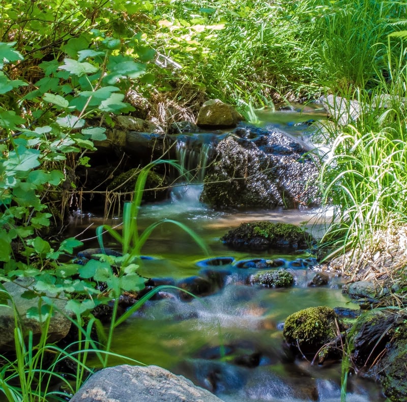 Big Bear Lake Woodland Creek