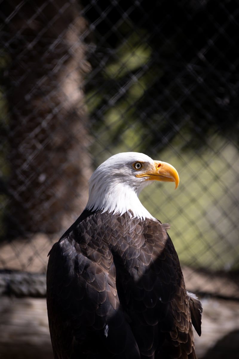 San Diego Zoo