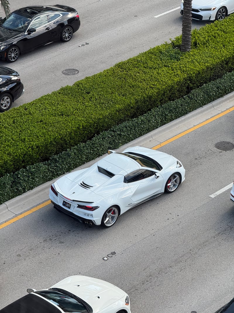 Collins Avenue Elevated View