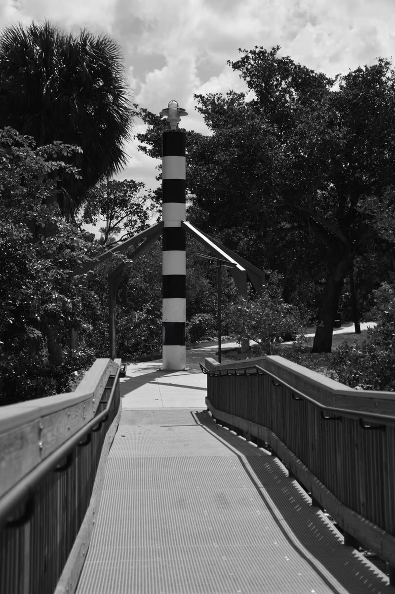 Billy's Creek Preserve Boardwalk