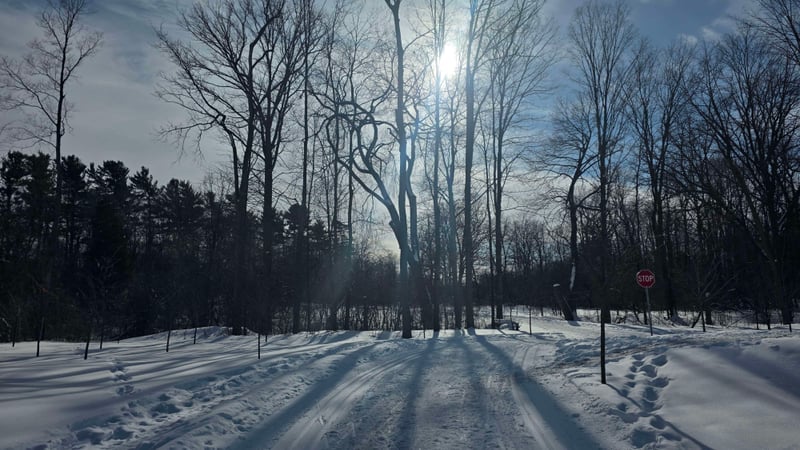 Mooney's Bay Park Trail