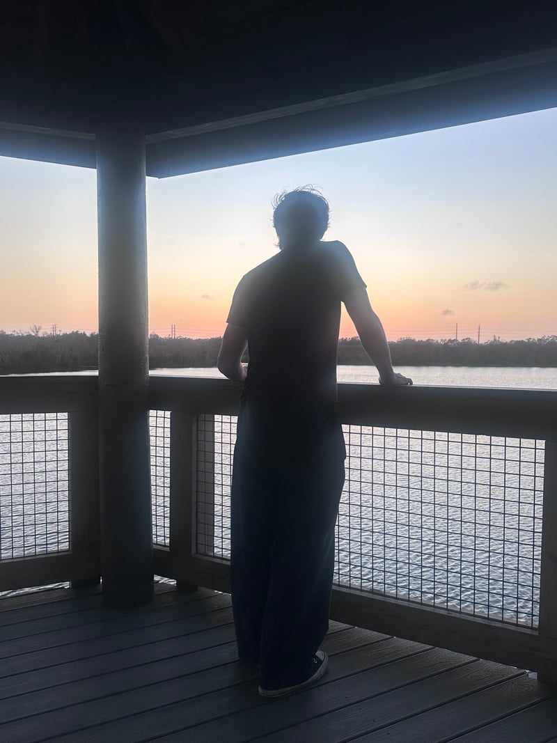 Sawgrass Lake Park Observation Deck