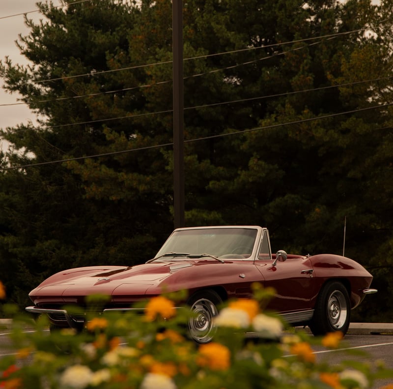 Canal Street Parking Area