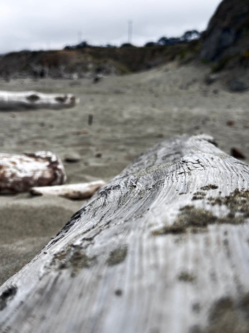 South Salmon Creek Beach