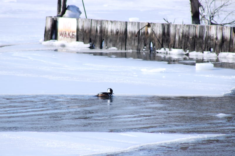 Blue Point Coastal Canal