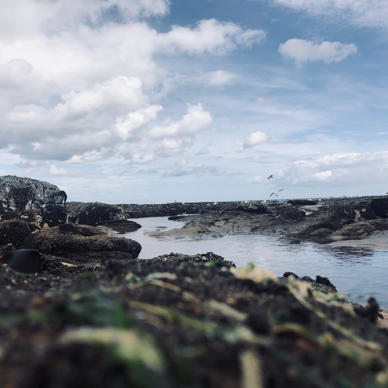 Hartlepool Headland Coast